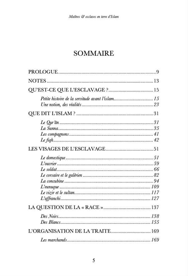 Maîtres & esclaves en terre d’Islam, un génocide voilé ? – Renaud K. – Sarrazins – Image 3