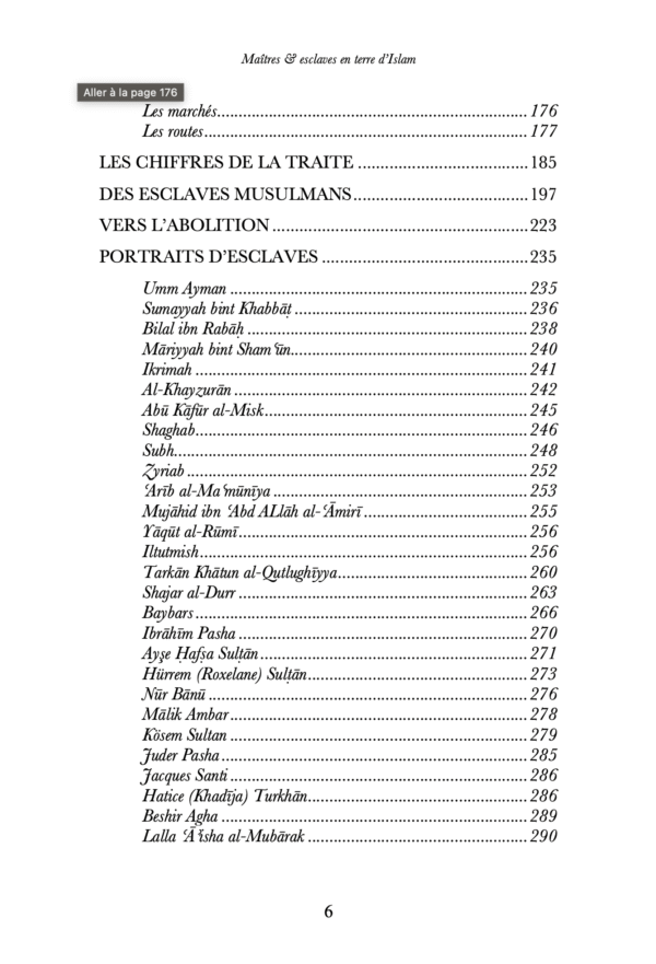 Maîtres & esclaves en terre d’Islam, un génocide voilé ? – Renaud K. – Sarrazins – Image 4