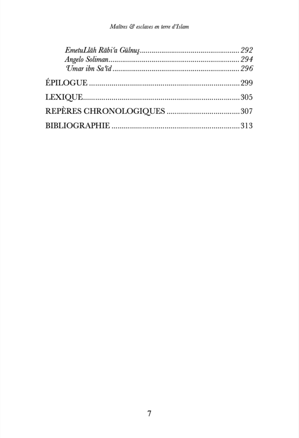 Maîtres & esclaves en terre d’Islam, un génocide voilé ? – Renaud K. – Sarrazins – Image 5