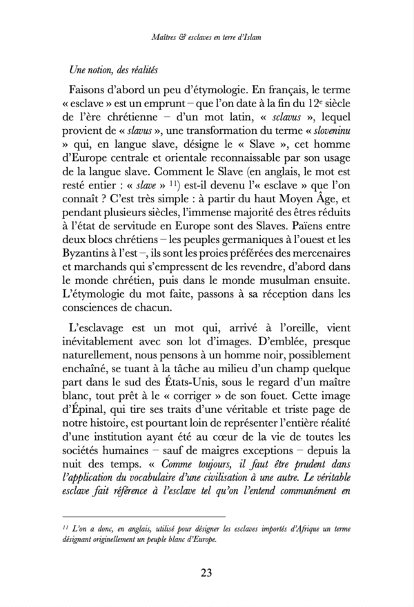 Maîtres & esclaves en terre d’Islam, un génocide voilé ? – Renaud K. – Sarrazins – Image 6