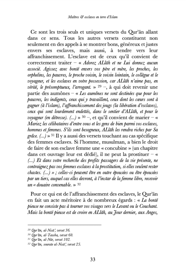 Maîtres & esclaves en terre d’Islam, un génocide voilé ? – Renaud K. – Sarrazins – Image 7
