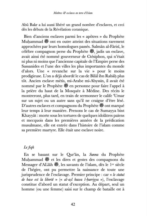 Maîtres & esclaves en terre d’Islam, un génocide voilé ? – Renaud K. – Sarrazins – Image 8
