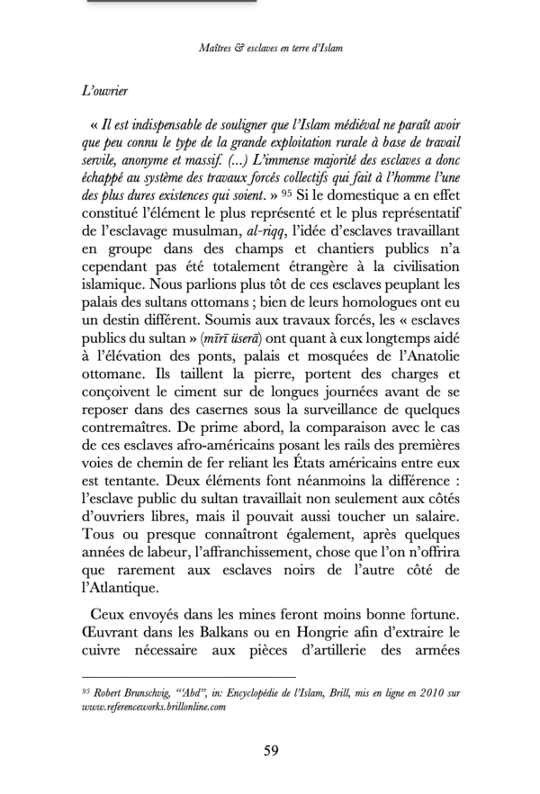 Maîtres & esclaves en terre d’Islam, un génocide voilé ? – Renaud K. – Sarrazins – Image 10