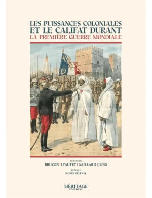 Les puissances coloniales et le califat durant la Première Guerre mondiale - Héritage